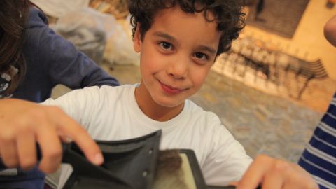 Als der Pulli noch ein Schaf war