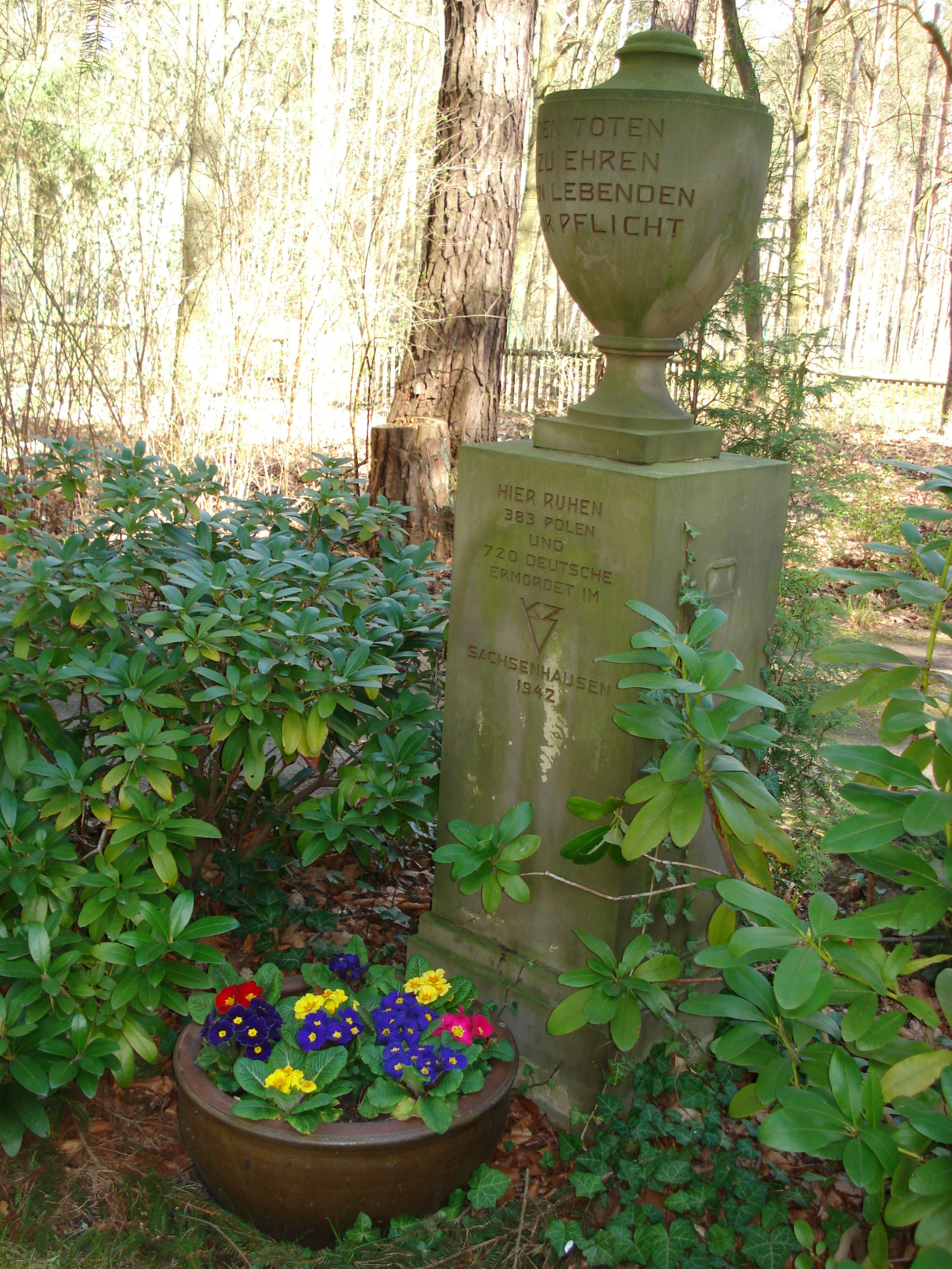 Urnenfeld auf dem Waldfriedhof Güterfelde, Foto: Klaus Leutner, Berlin 2018