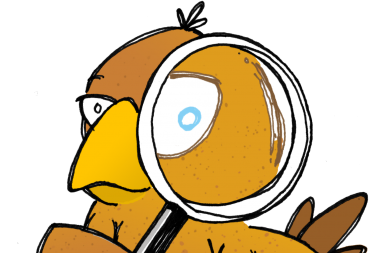 Falko sucht und präsentiert eure Schätze | online